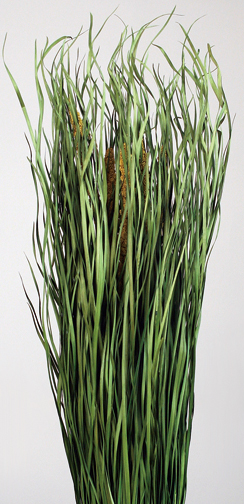 Malian Grass(Preserved)(dry flower;dried flower)