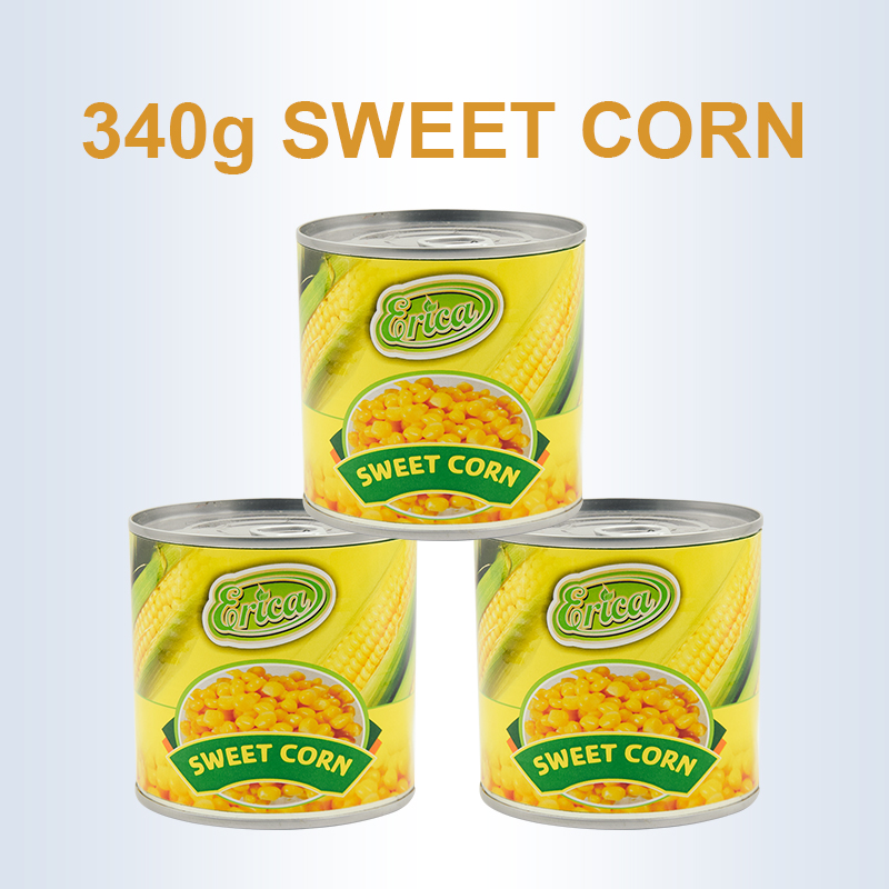 HEBEI ERICAN ENTERPRISE LTD – Canned fish 2