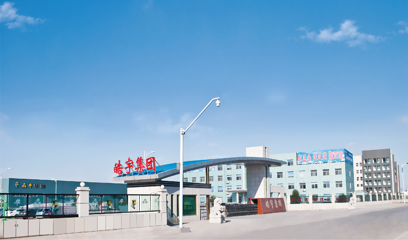 Shandong Haoyu Rubber Co., Ltd. – car tires 1