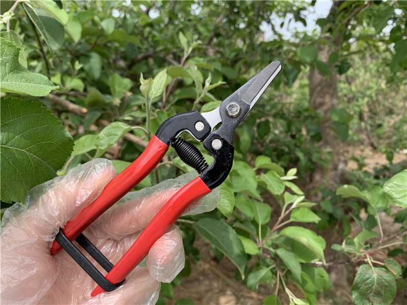 Yingkou Xiongyue Dacheng Gardening Tools Co., Ltd. – tuerca hexagonal 3