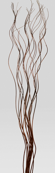Magic Ting(dry flower;dried flower)