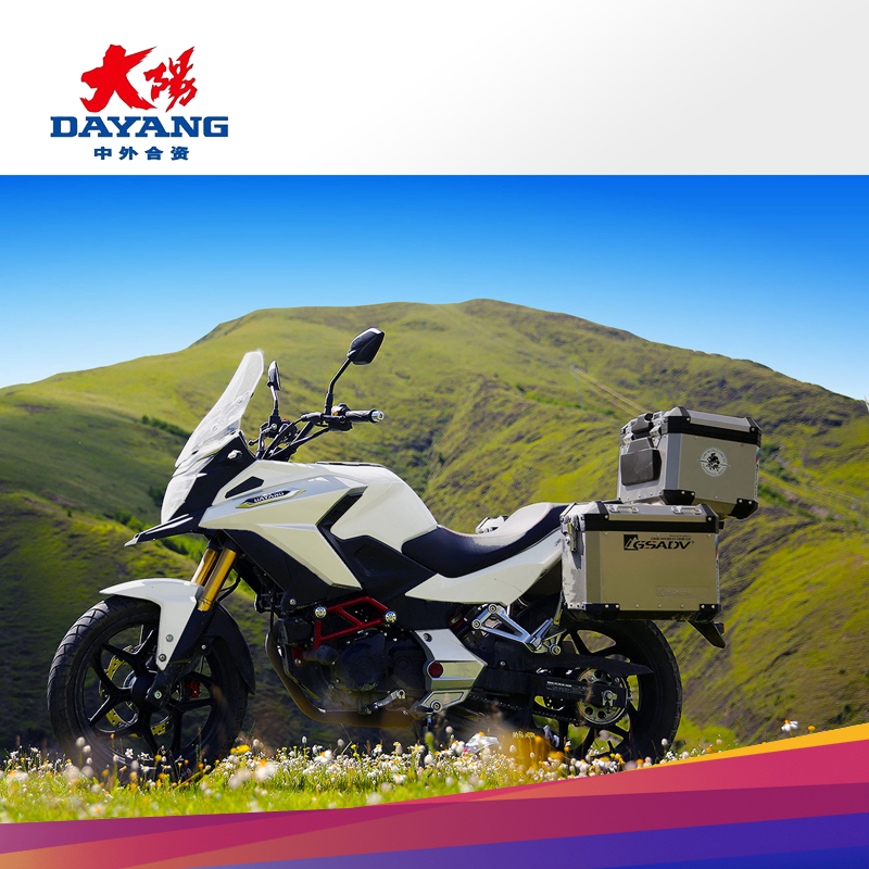 Dayang motorcycle DY200-6