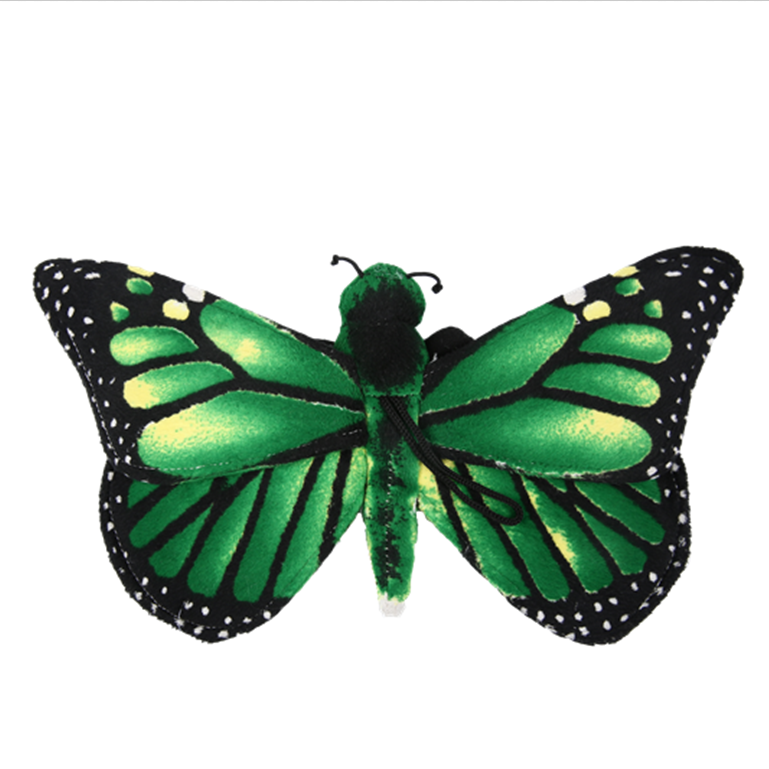 Insect