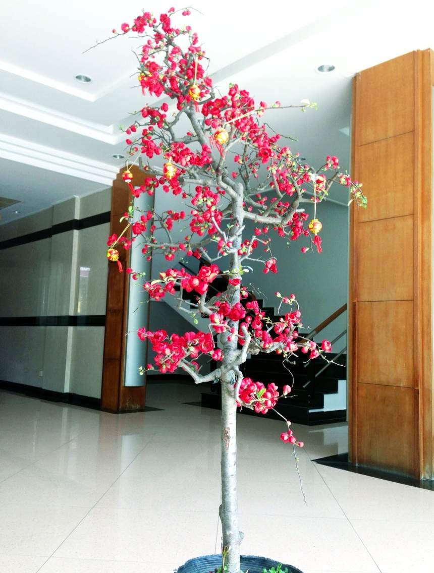 Zhongshan Huiying Import and Export Co., Ltd. – solar lights 3
