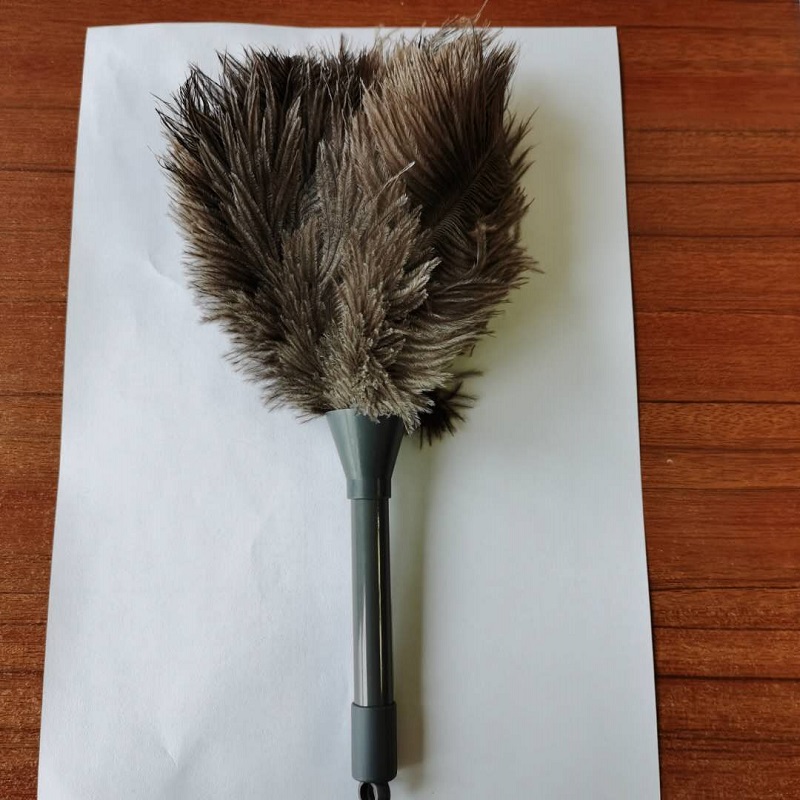 MIni feather duster