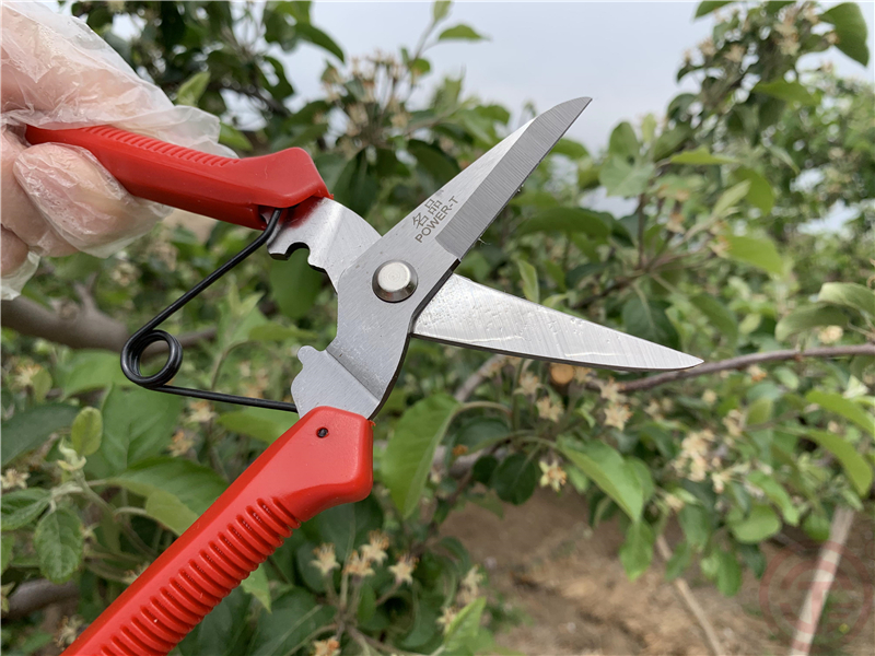 Yingkou Xiongyue Dacheng Gardening Tools Co., Ltd. – clavo de hierro 2