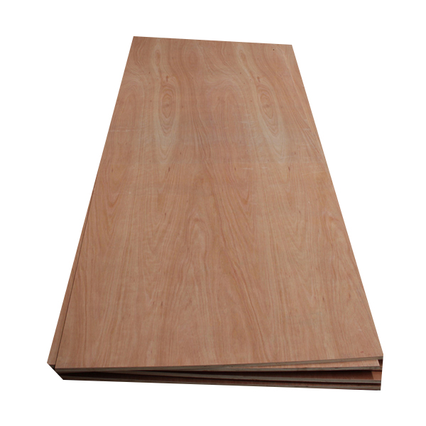Okoume/Bintangor/Red cedar plywood with 1220x2440mm
