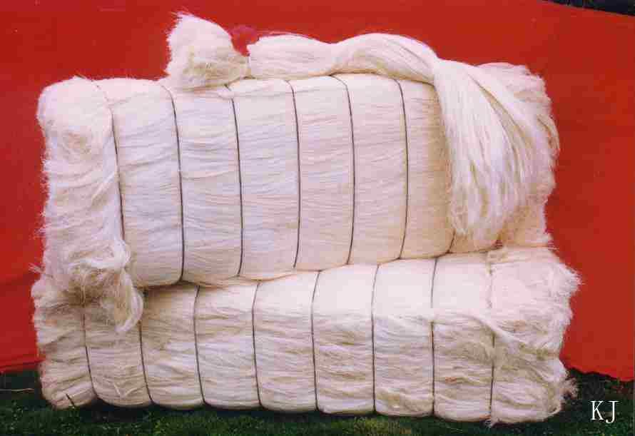 Sisal fiber