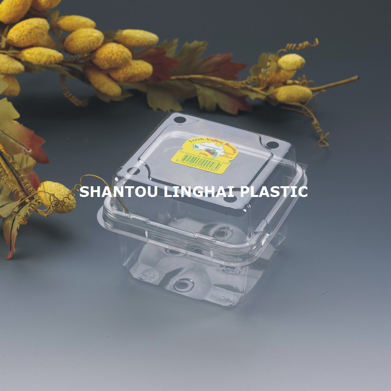 Fruit Clamshell