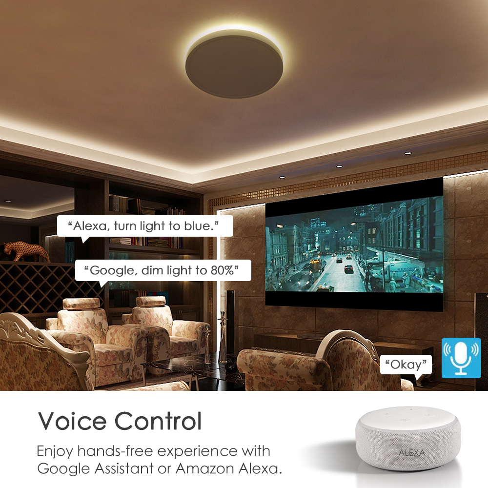 Galaxy Plus smart ceiling light