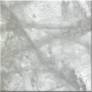 GEM-301