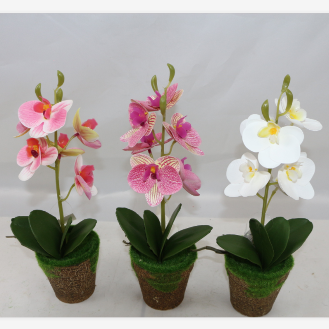 TIANJIN DEYI TECH CO.,LTD – vela aromática 2