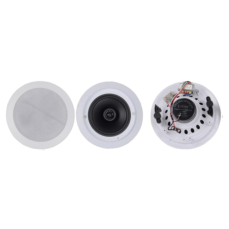 Community outdoor ceiling speaker