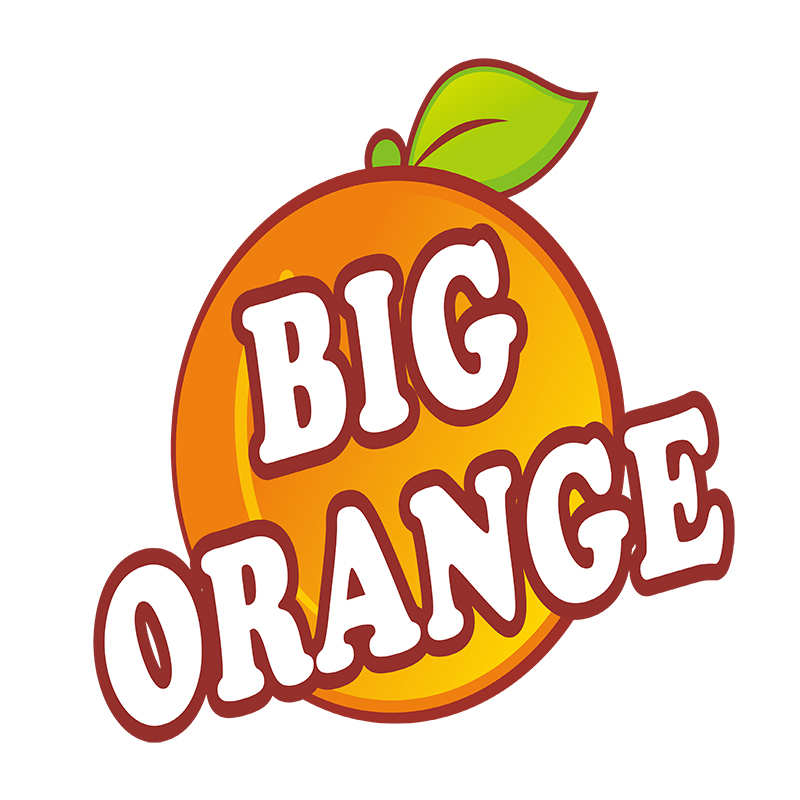 GUANGDONG BIG ORANGE CULTURE DEVELOPMENT CO.,LTD