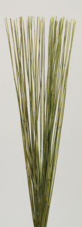 Mini Bamboo Cane(dry flower;dried flower)