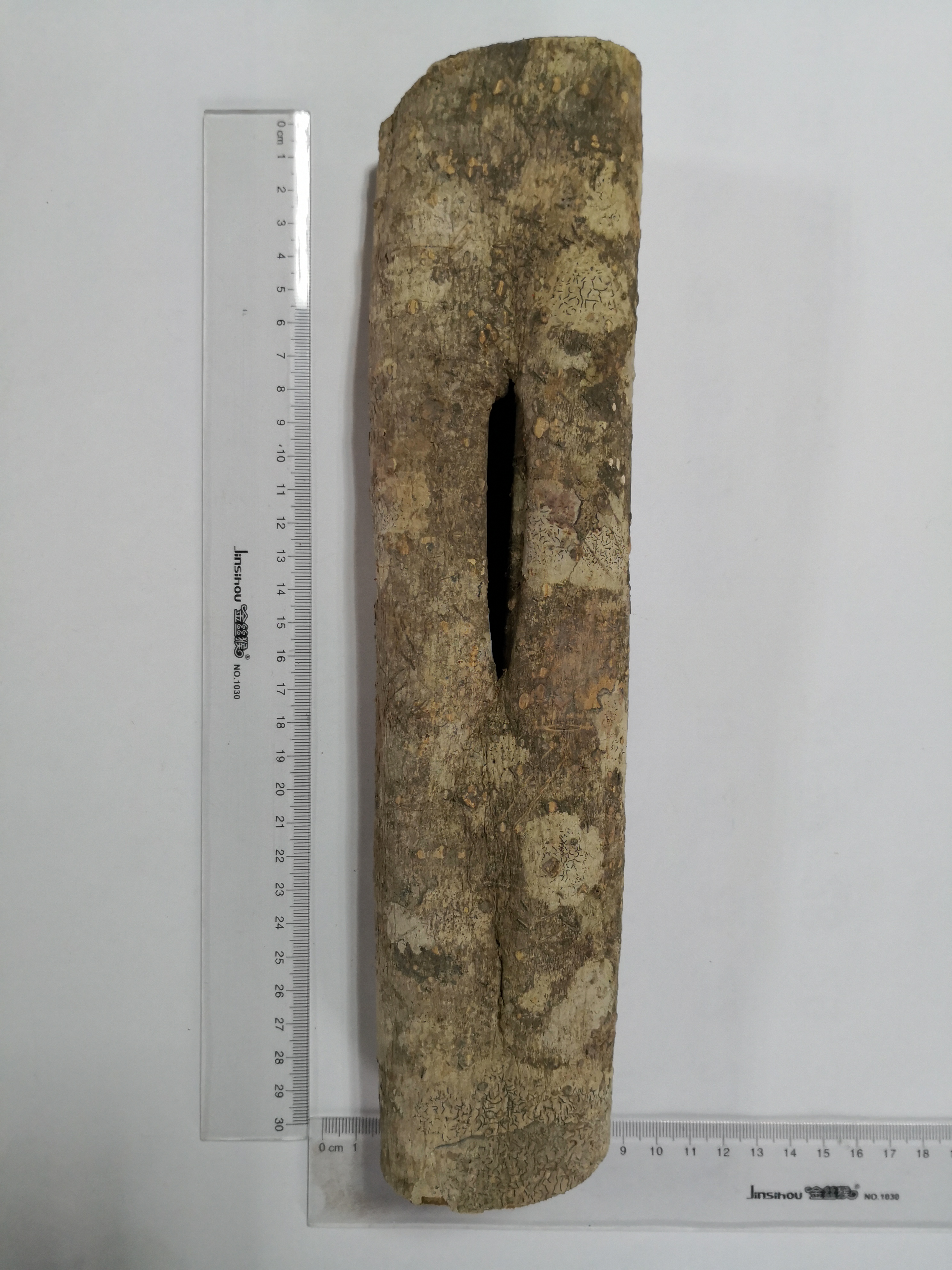 Officinal Magnolia Bark