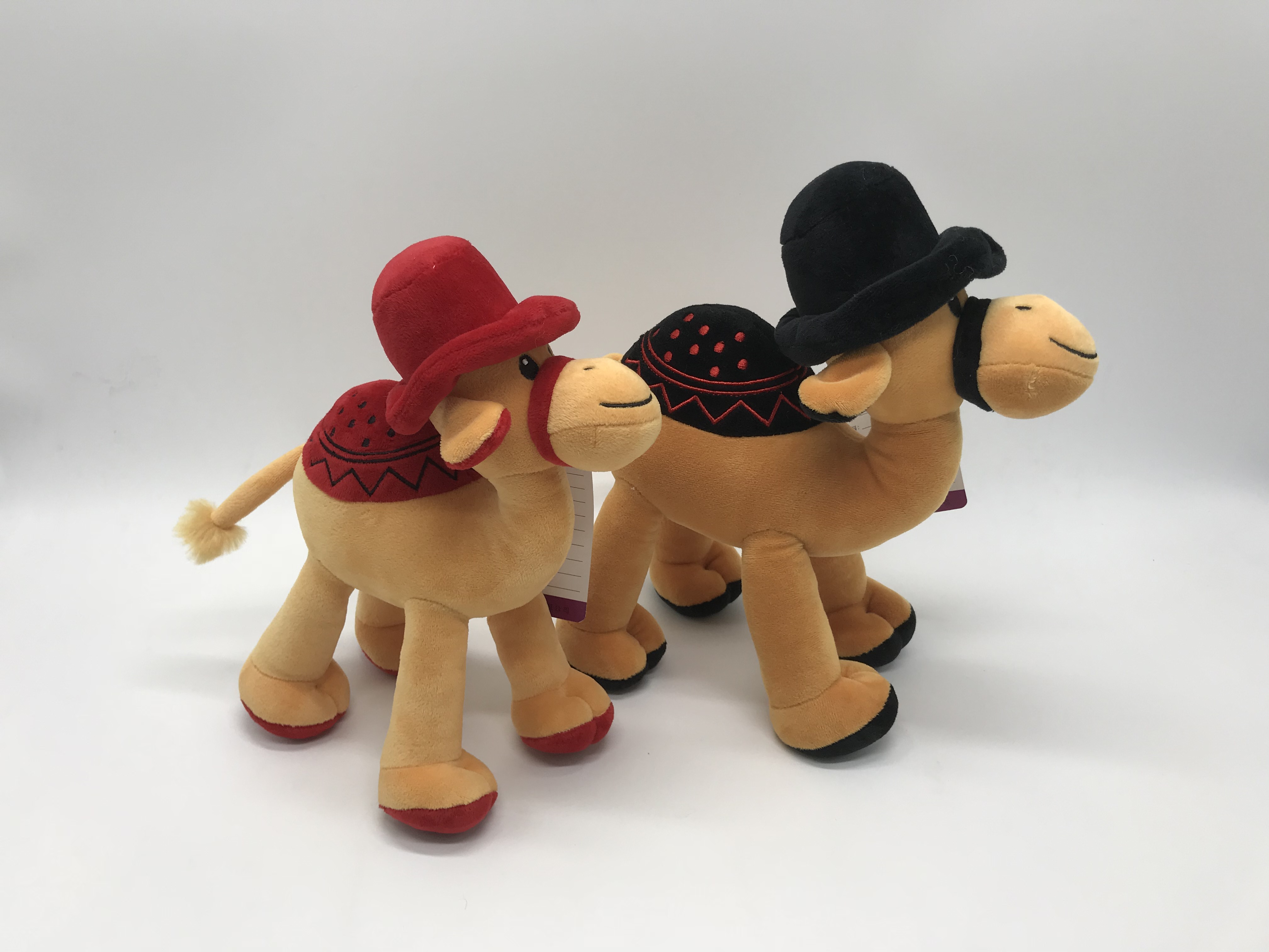 camel