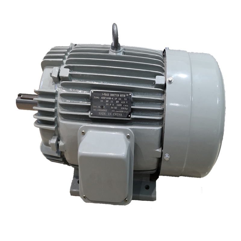 Aeef Three Phase Asynchronous Electric Motor