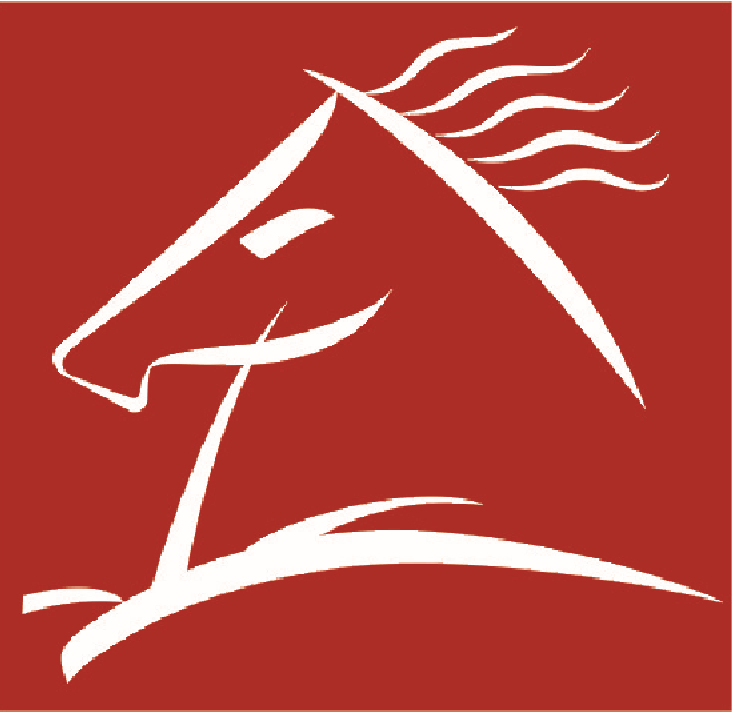 Dongguan Jinma Import and Export Co., Ltd.