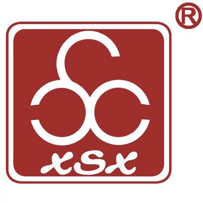 Haining Xinshi Xinzhizao Co., Ltd.