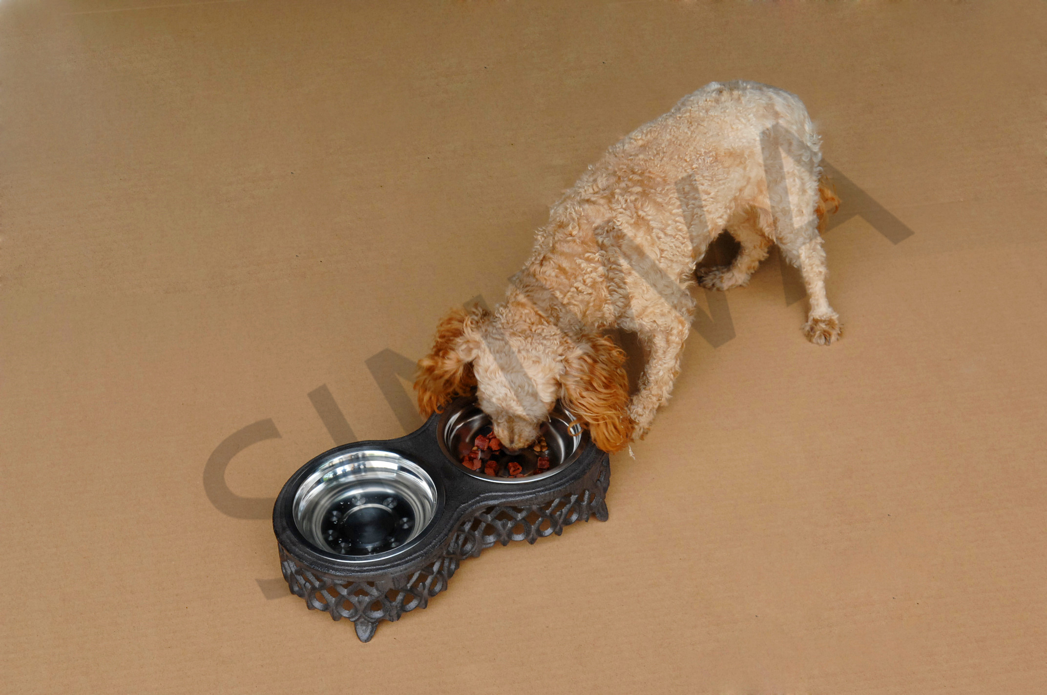 Pet feeder