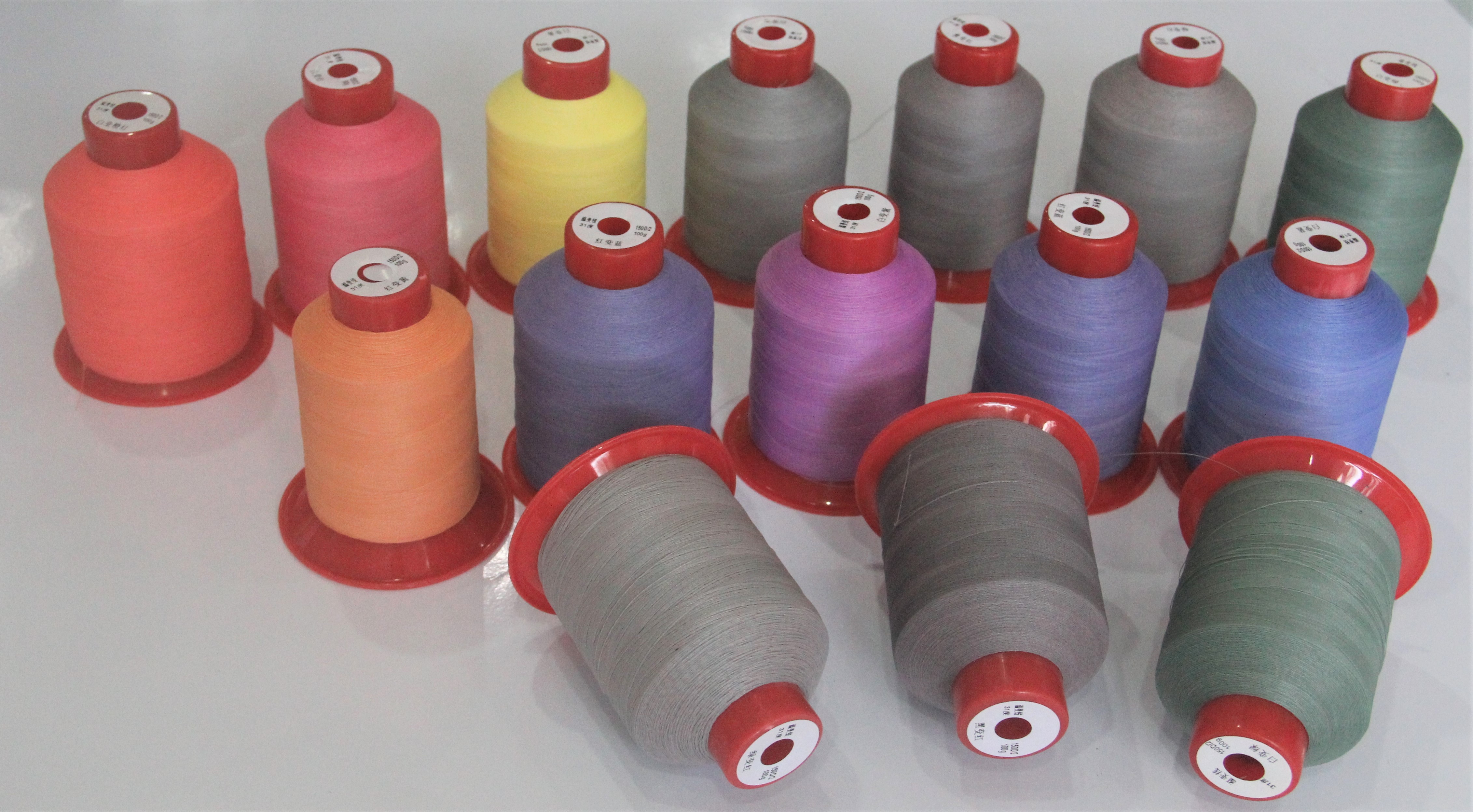 TAIZHOU GINGKO WEAVE CO.,LTD – zapatos de tacón 2