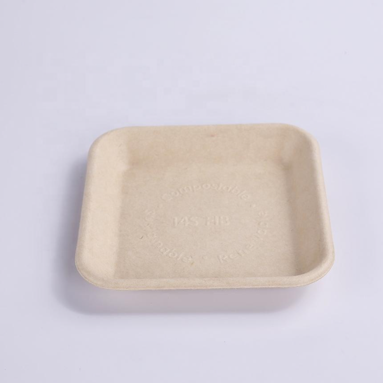 Sugarcane Bagasse Tray(153*153*24mm)