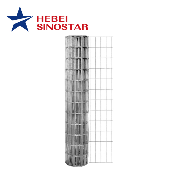 Gi Welded Steel Mesh