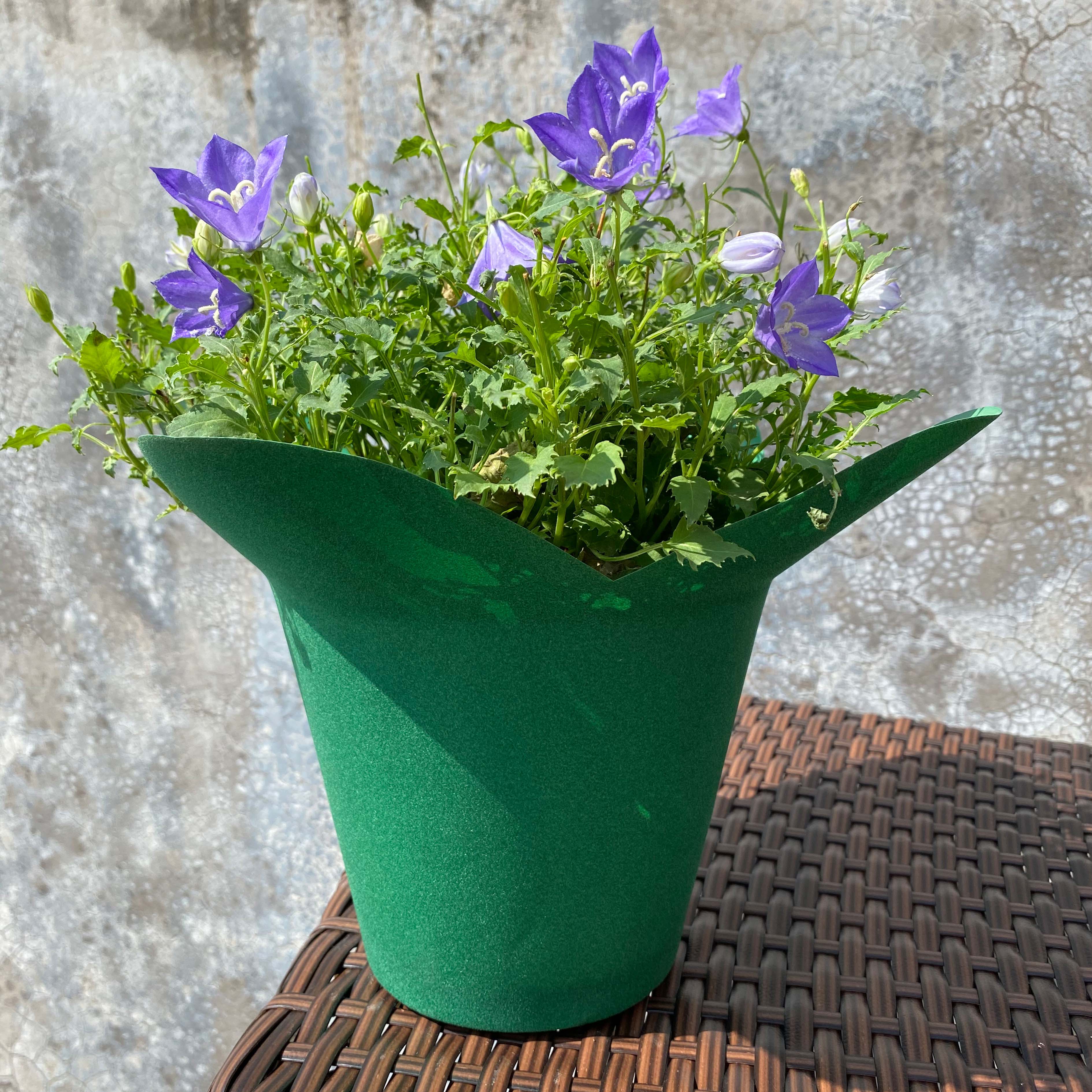 Scallop top plastic cover pot