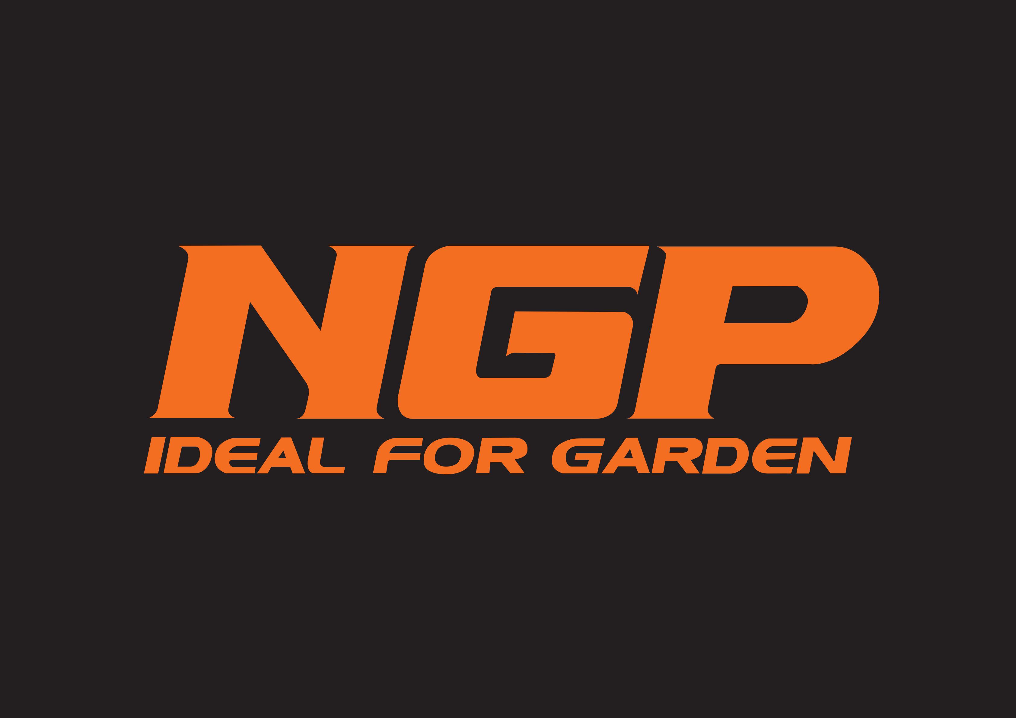 NINGBO NGP INDUSTRY CO.,LTD.