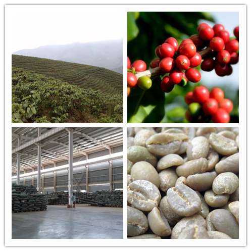 KUNMING GOODLUCK TRADE CO.,LTD.