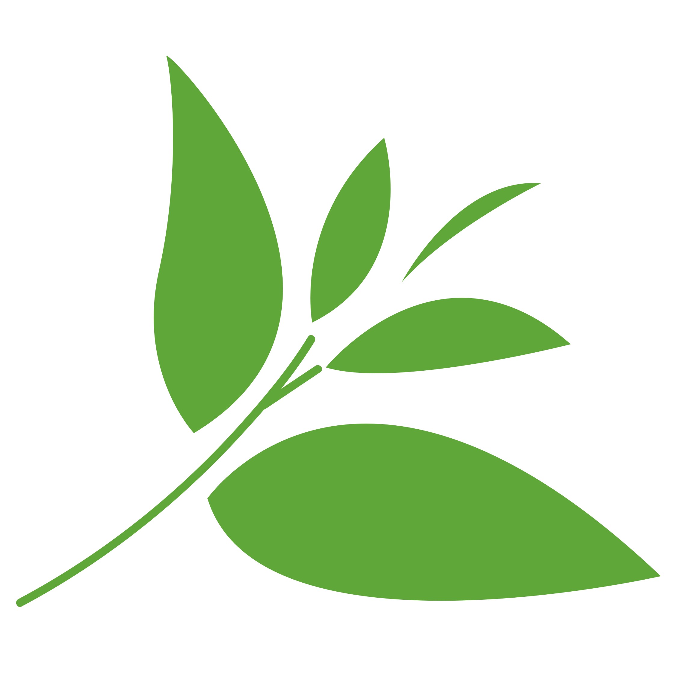 Xinyang Huinong Tea Co., Ltd.