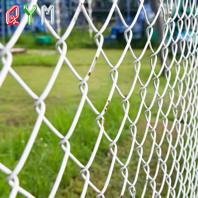 Chain link mesh fence
