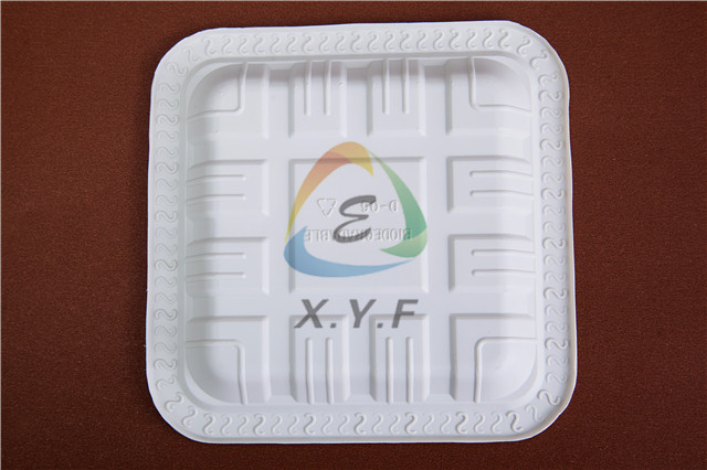 Disposable Compostable Tray