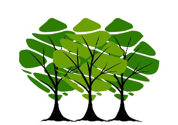 Heilongjiang Jiushun Trading Co., Ltd.