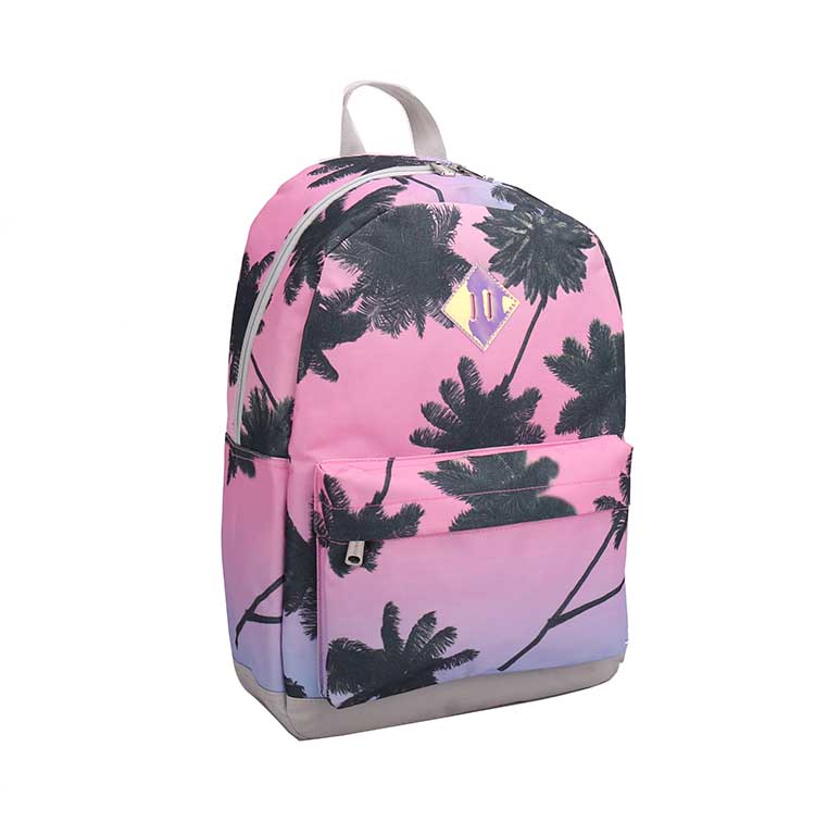 School bag backpack