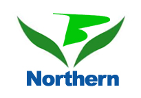 Baoding Northern Artificial Flower Co., Ltd.
