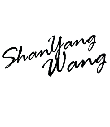 Inner Mongolia Shanyangwang Cashmere Co., Ltd.
