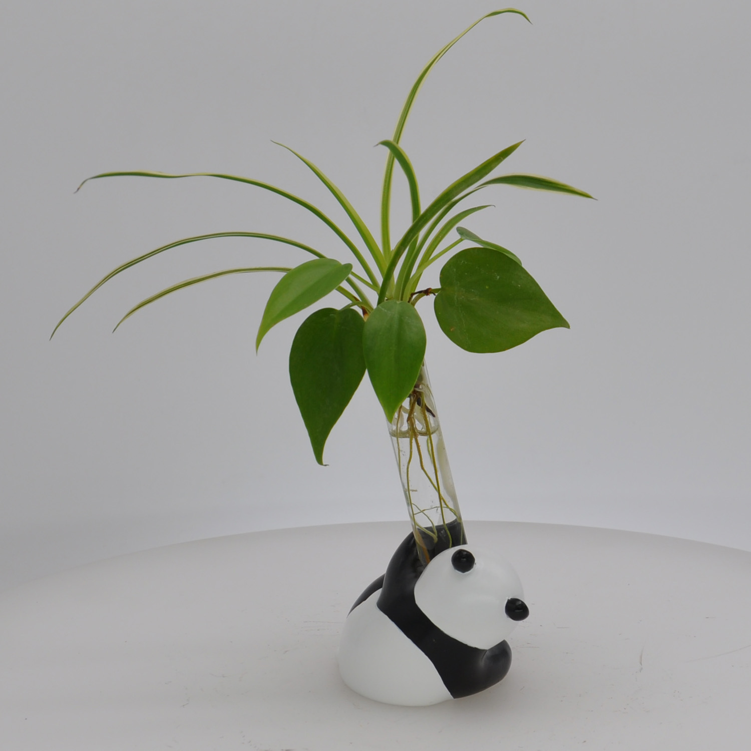 Wholesale Polyresin cartoon panda sculpture water plant stand statue coin box custome for home decoration