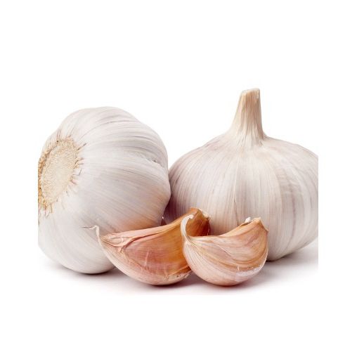 Fresh garlic 4.5-6.0 cm up from factory for wholesale