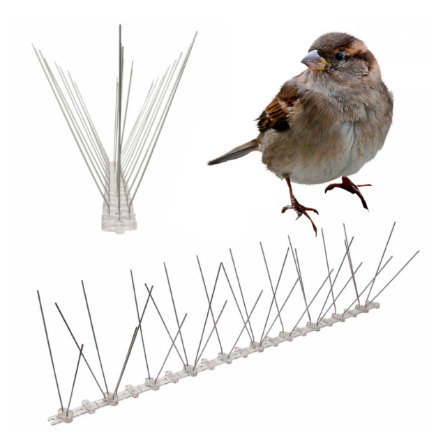 Bird Spikes