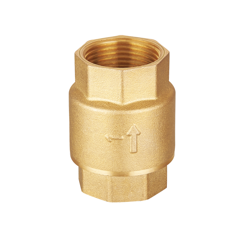 Brass spring check valve plastic core