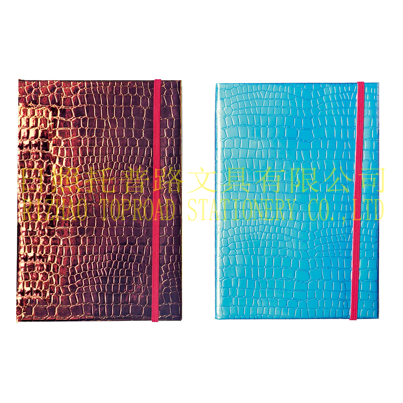 Pu Notebook
