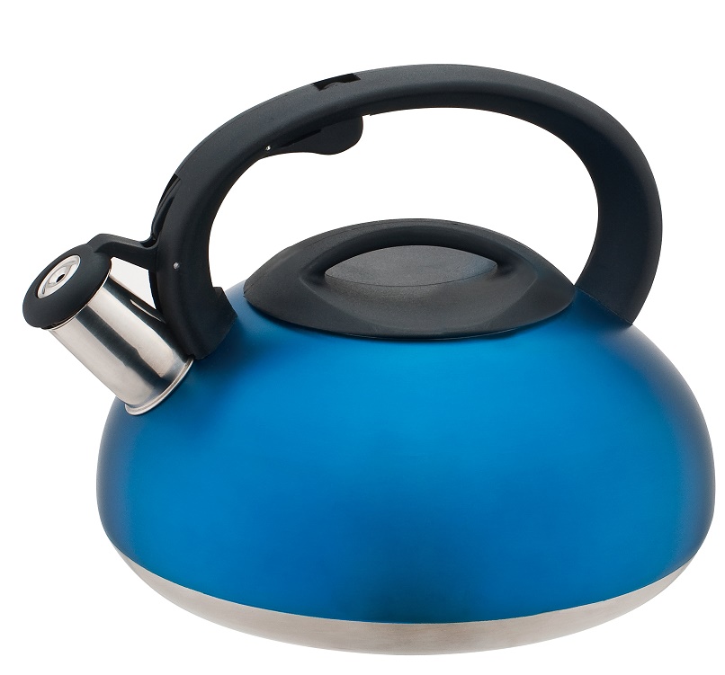 stainless steel whistling kettle