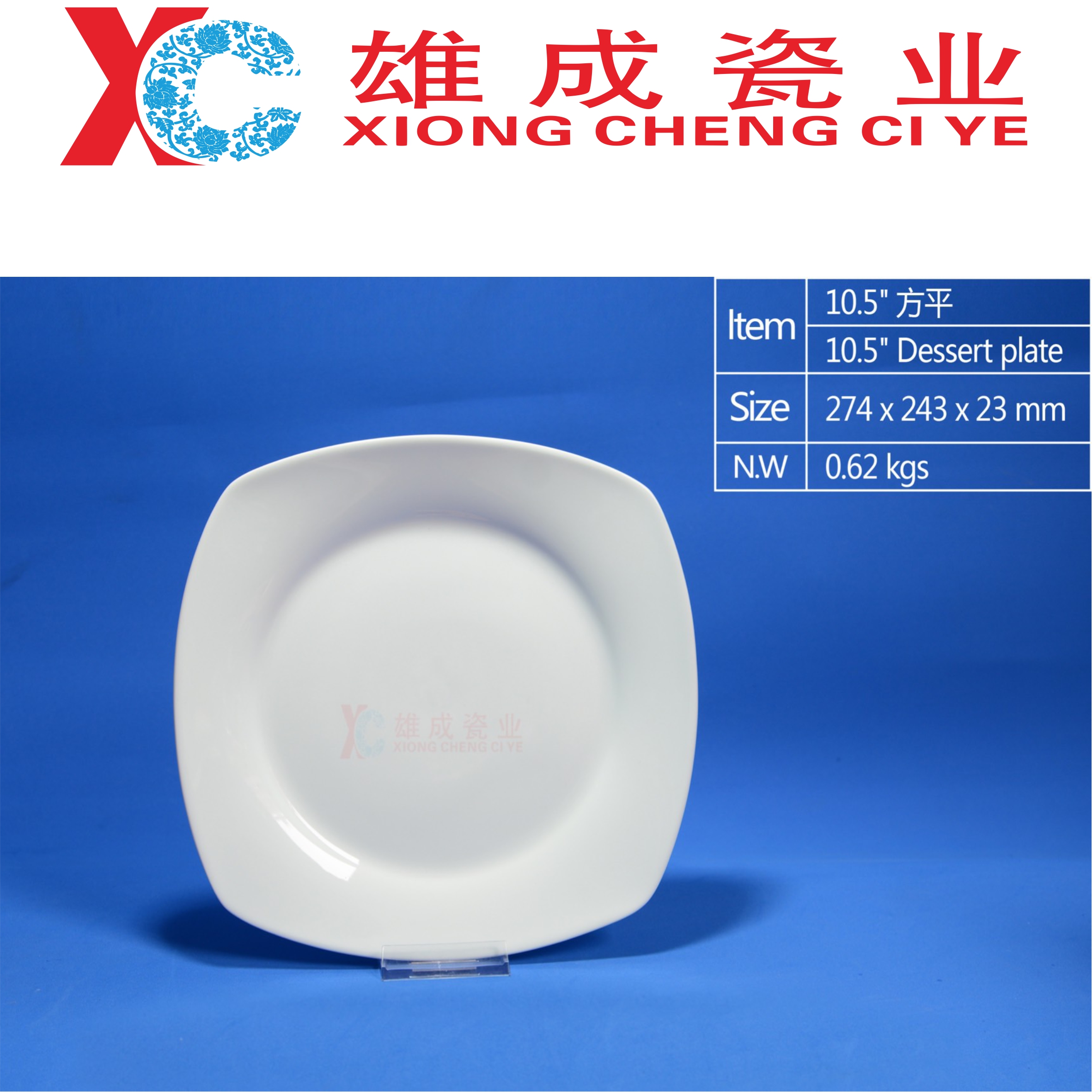 10.5'' square dinner plate