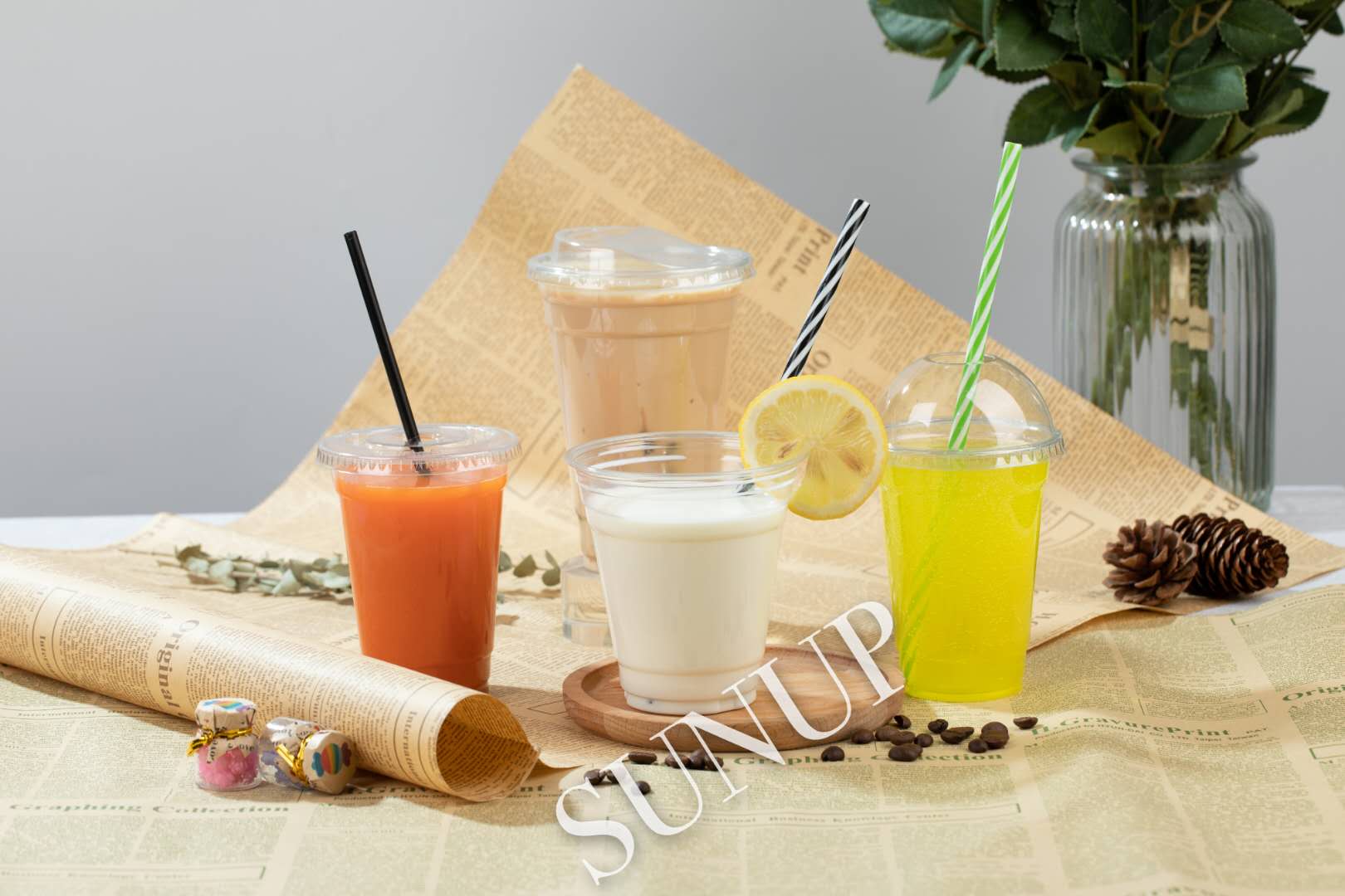 JIANGSU SUNUP BIOTECH CO., LTD. – Disposable cup 3