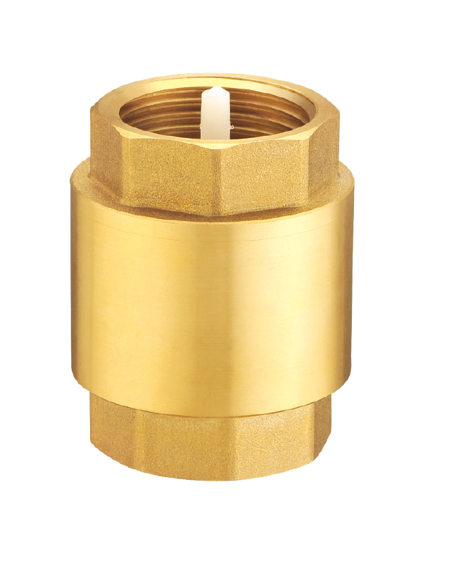 Plastic core check valve