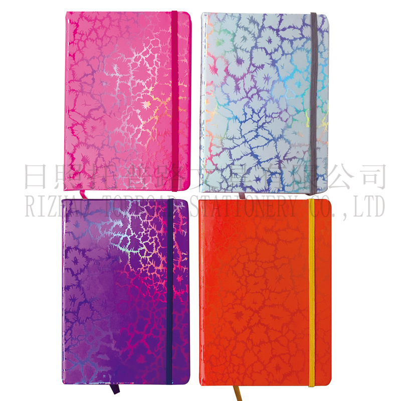 Pu Notebook