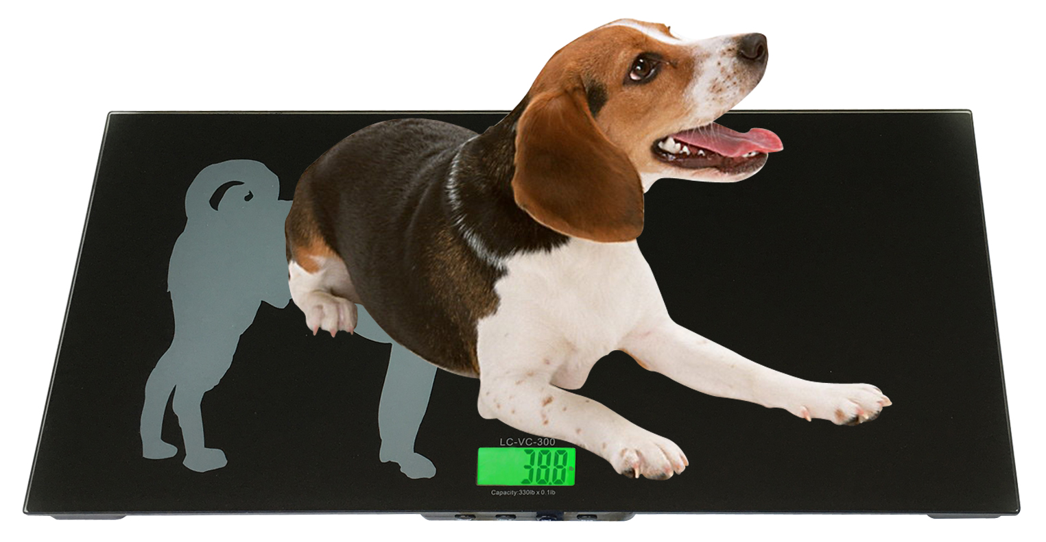Pet Scale/ Vat Scale / Animal Scale
