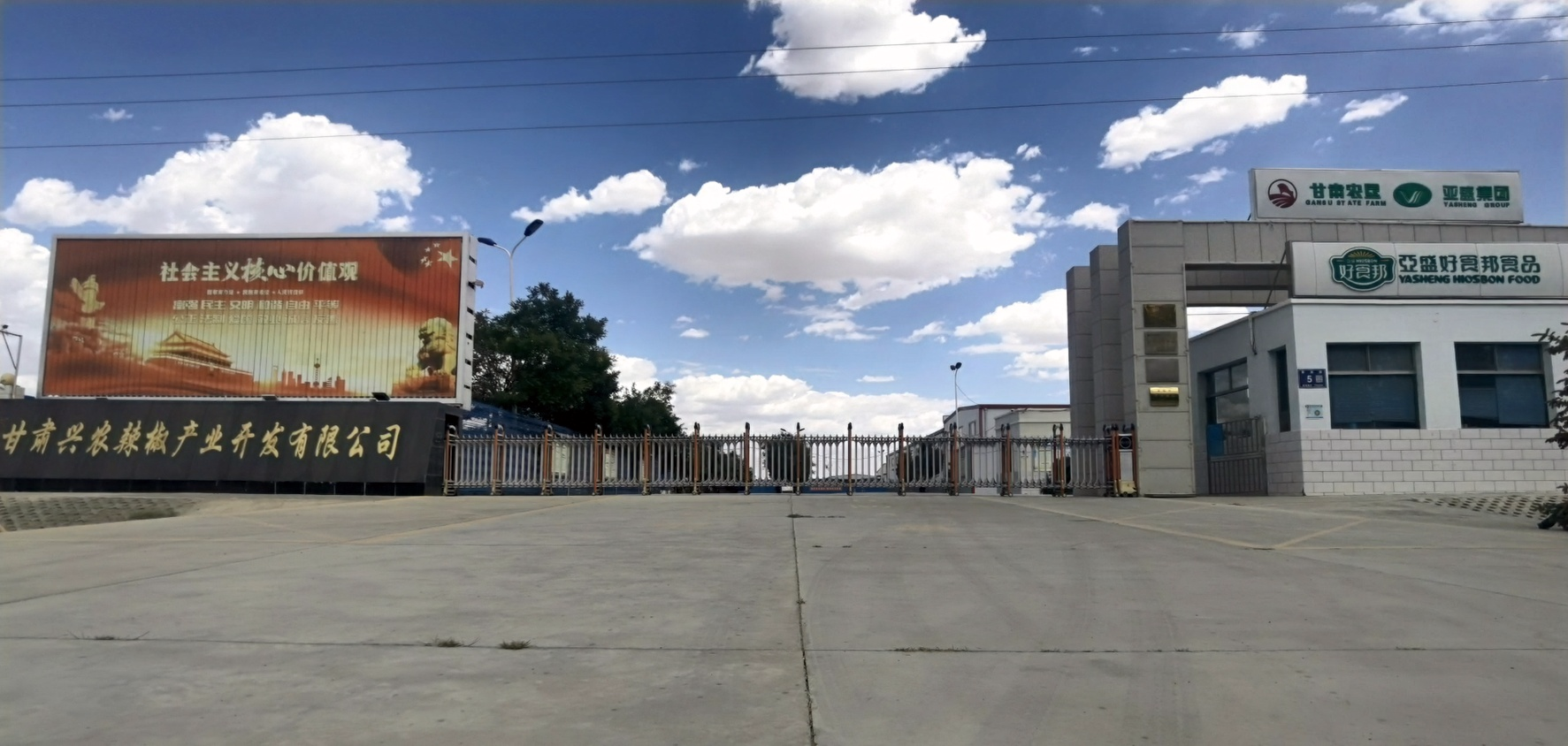 Gansu Xingnong Chili Pepper Industry Development Co., Ltd.